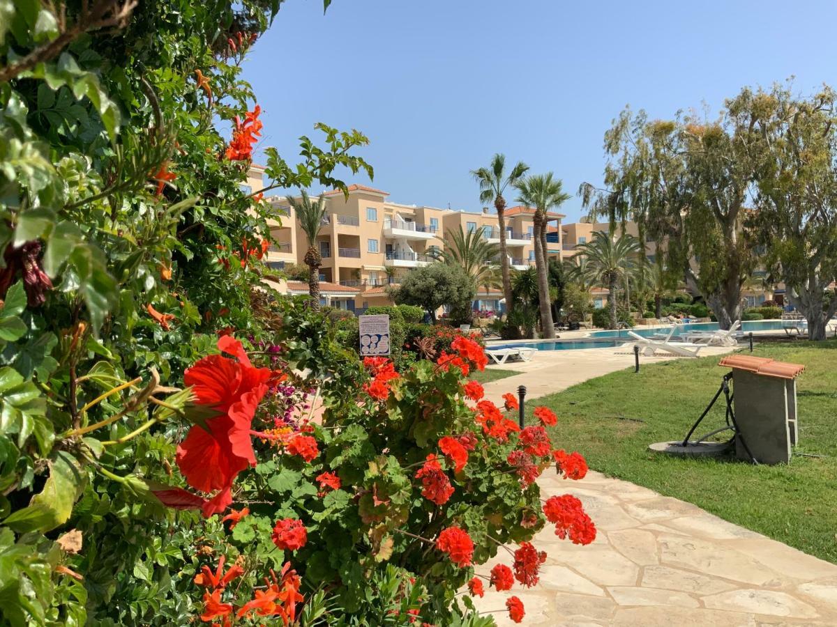 Kings Palace Indigo 109 Paphos Exterior foto